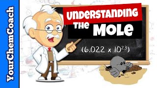 How to Use the MOLE in Chemistry [upl. by Akcebar160]