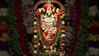 amdevotional ytshorts venkateswarasuprabatham devotionalsongs [upl. by Brigit]