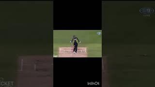 Jaspreet Bumrah magical yorkers compilation cricketlover bumrah [upl. by Appleton]