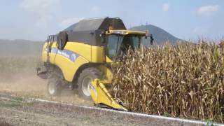 Trebbiatura mais con NEW HOLLAND CX780 [upl. by Hael346]