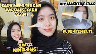 DIY MASKER BERAS  CARA MEMUTIHKAN WAJAH SECARA ALAMI DAN CEPAT  indri meiliana [upl. by Naened268]