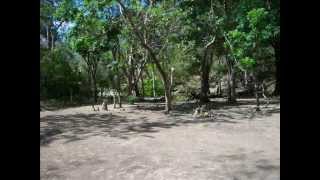 For Sale Land in Nicaragua 400 per acre [upl. by Aicirpac]