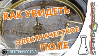 Силовые линии электрического поляForce lines of the electric field [upl. by Eylsel]