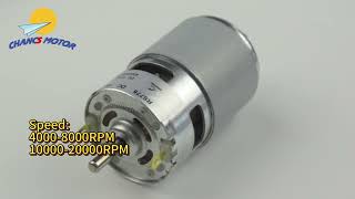 775895 DC motor DC 12V 24V available come with ball bearings [upl. by Wash]