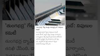 Tungabhadra Dam floods [upl. by Aer]