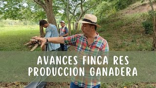 Avances Finca Res Produccion ganadera [upl. by Ecyal]