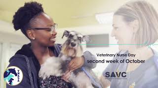 SAVC A day in the life of a Veterinary Nurse [upl. by Adniralc]