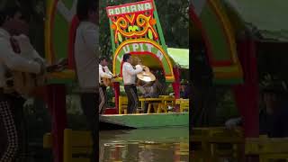 Xochimilco tour 2024 travel mexico mexicocity mexicotravelguide [upl. by Ralyat]