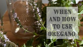 Medicinal Uses For Oregano  Making Oregano Tincture [upl. by Farrand]