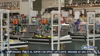 Campobasso furto al supermercato con spray urticante indagini ad una svolta [upl. by Enimisaj]