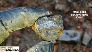 Rich Gold Bearing Veins Exposed In A Logging Road [upl. by Yesnyl522]