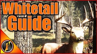 How to Find Whitetail in Call of the Wild [upl. by Madelaine]