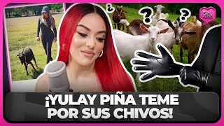 YULAY PIÑA TEME POR SUS CHIVOS LOS MANIÁTICOS NO DEJAN DE MIRARLOS [upl. by Belen]