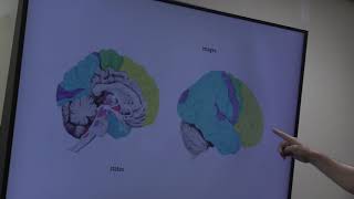 SOLMS Neuropsychoanalysis WMC Grand Rounds Dec 2017 Part I [upl. by Nino]