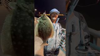 FLOUNDER FISHING TIPS 👀👀 fishing catchbigfish fishingtips [upl. by Alur36]