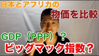 【ビッグマック指数】GDPPPPってまじで何？Purchasing Power Parityの謎【購買力平価】 [upl. by Ingamar862]