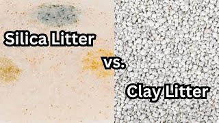 Silica Vs Clay Litter  What’s best for your cat [upl. by Arehsat]