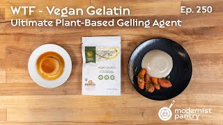 Vegan Gelatin Ultimate PlantBased Gelling Agent WTF  Ep 250 [upl. by Marji]