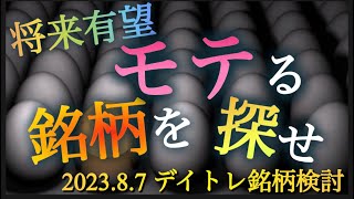 （デイトレ）2023年8月6日 デイトレ銘柄検討 [upl. by Siuqramed]