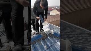 Roof cap tile laying with cement morta goodtools short [upl. by Letsirhc]