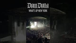 UNRELEASED Dom Dolla  Whats up New York  Forest Hills Friday 30th August [upl. by Ppilihp697]