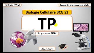 Biologie Cellulaire BCG S1  Partie Travaux Pratique TP FSSM [upl. by Alonzo]