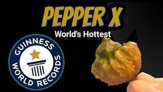 Pepper X Worlds Hottest Pepper [upl. by Llevra666]