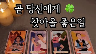 타로 곧 당신에게 찾아올 좋은일🍀현재상황 중요한 이슈 좋은일들 조언메세지 [upl. by Ainahtan]