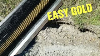 Gold Prospecting On The North Saskatchewan River EASY diggings [upl. by Standford]