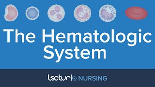 Anatomy of The Hematologic System  Nursing Anatomy [upl. by Ynabe]