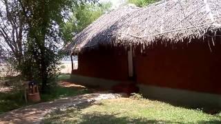 Pool Hut at Evolve Back Orange County Resorts Kabini India [upl. by Hcurob]