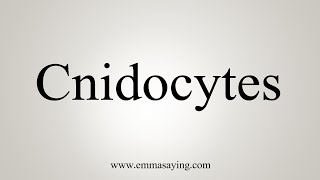 How To Say Cnidocytes [upl. by Ecertap]