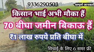 70 बीघा जमीन बिकाऊ है मात्र ₹1 लाख रुपए में agriculture land for sale [upl. by Iliam]