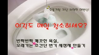 매일 청소하지 마세요 변기세정제만들기  변기청소세제  유통기한 지난 치약 활용법  욕실 변기 곰팡이 제거 [upl. by Rodrique38]