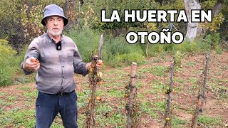 Fijaos QUÉ HACER EN LA HUERTA en otoño 🍁 [upl. by Aisemaj]