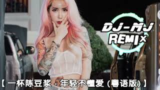 一杯陈豆浆  年轻不懂爱 粤语版 DJMJ Electro Remix 【就让我失去一个人痛心也应该】🔥🔥 [upl. by Macknair]