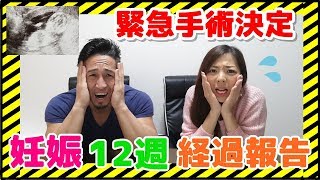 【妊娠12週】経過報告！年内の緊急手術が決まりました！【切迫早産】 [upl. by Dylan]