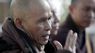 Thich Nhat Hanh  The Buddha and enlightenment [upl. by Brecher]