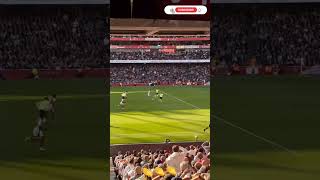 Arsenal vs Southampton 31 All Goals and Extended Highlights  premier league 202425 [upl. by Arec]