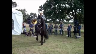 Caballo Frison Bailando Frisian Friesian [upl. by Zetneuq]