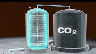 Carbonation Explained [upl. by Hillhouse]