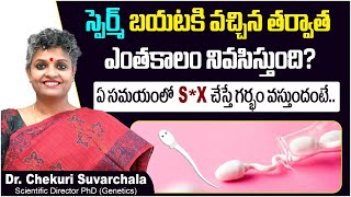 స్పెర్మ్ జీవితకాలం  How Long Does Sperm Live After Ejaculation  Dr Chekuri Suvarchala  Ziva [upl. by Ellehsal583]