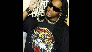 Lil Jon feat Lil Wayne  Pull Up [upl. by Hniht]