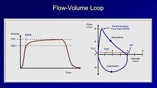 Pulmonary Function Tests PFT Lesson 2  Spirometry [upl. by Remled]