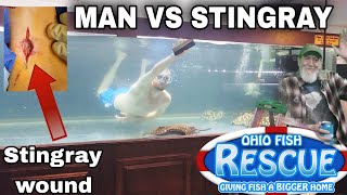 2200 GALLON TANK  MAN VS DEADLY STINGRAYS [upl. by Ainsworth786]