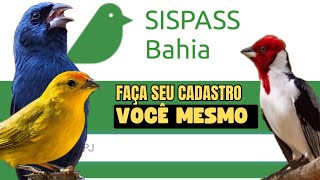 Como fazer o CADASTRO IBAMA PARA CRIAÇÃO DE PÁSSARO ESTADO DA BAHIA [upl. by Jolyn758]