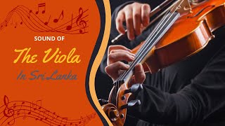 Viola Played in Popular Sri Lankan Songs [upl. by Aehtorod]