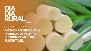 Fazenda Palmitolândia produção de palmito pupunha de maneira sustentável [upl. by Lednar]