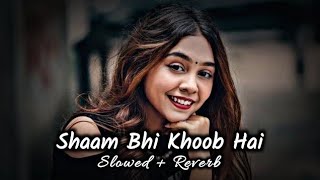 Sham Bhi Khoob Hai slow plus reverb new Bollywood song 2024 Ajay Devgan ka song lofimusic viral [upl. by Ainotahs880]