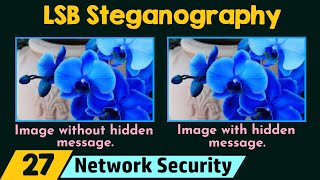 LSB Steganography  Demo [upl. by Anitap284]